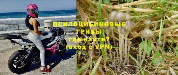 дурь Богородск