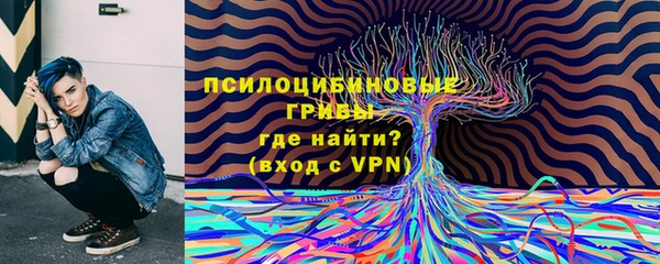 MDMA Богородицк