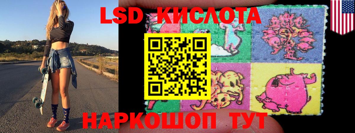 Наркотические марки  Наркотические марки 1500мкг  Вход с VPN  Свободный 