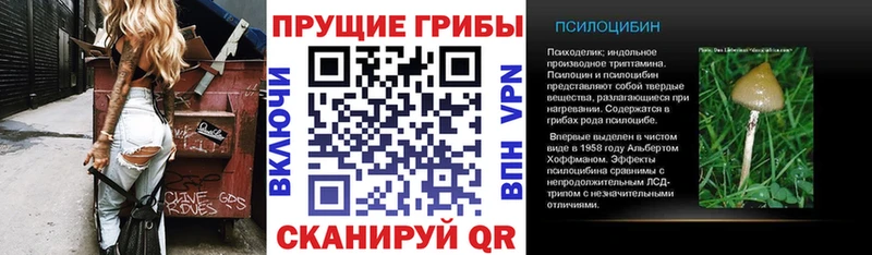 Галлюциногенные грибы Psilocybine cubensis  Свободный 